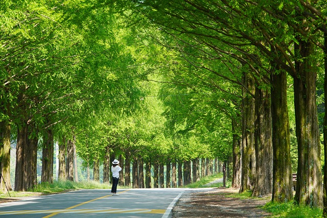 힐링의 힘, 회복을 위한 방법들, 스트레스 해소를 위한 꿀팁, 몸과 마음을 아끼는 방법 등